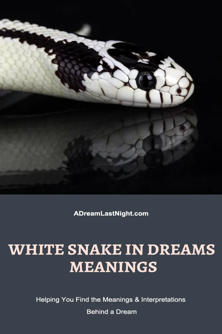 Hidden Meaning of White Snake in Dream You Should Never Miss